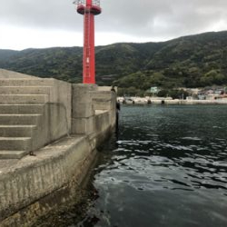 アジング+サビキ