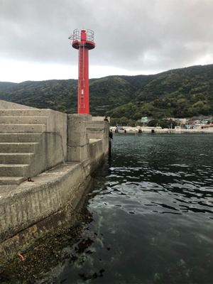 アジング+サビキ