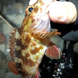 とある爆風ゴロタ