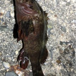 とある暇つぶしライトゲーム