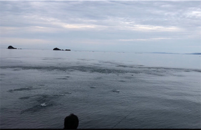 広範囲でボイル