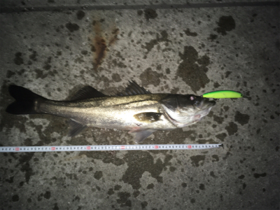 人混みさけの気分転換