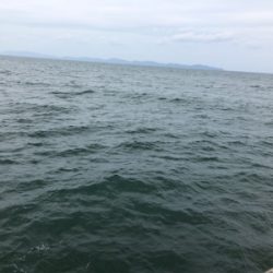 西風が強い中のジギング・エギング！