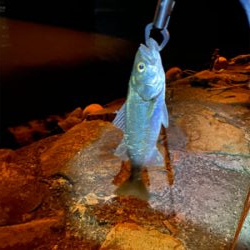 いつもの場所で