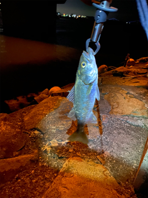 いつもの場所で