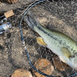 自粛中なので散歩のついでにバス