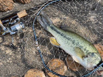 自粛中なので散歩のついでにバス