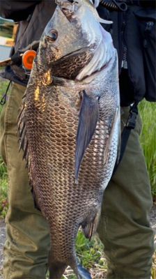 もうちょいで年なし