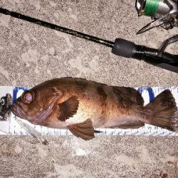 マイブームプラグ