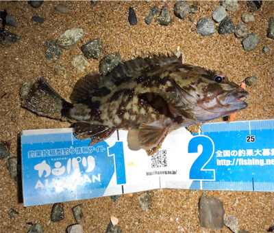 とある砂浜プラグガシリング