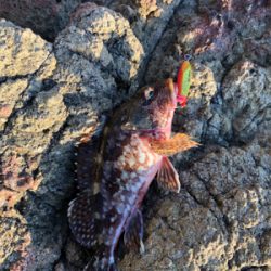 悔しさ残る釣行！