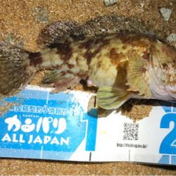 とあるロック3目