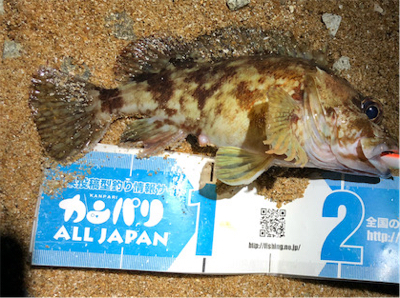 とあるロック3目