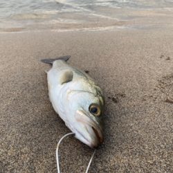 うねりの中、ゆるい場所に隠れてました