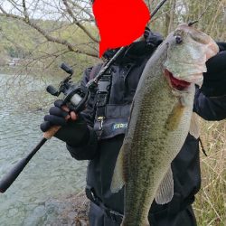 イモリッパー祭り