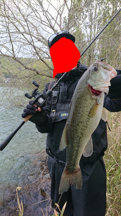 イモリッパー祭り