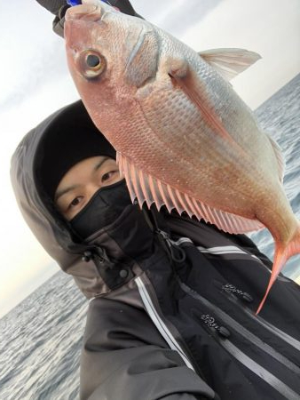 オフショア釣果