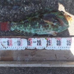 最高の釣り日和（＾＾）ｖ