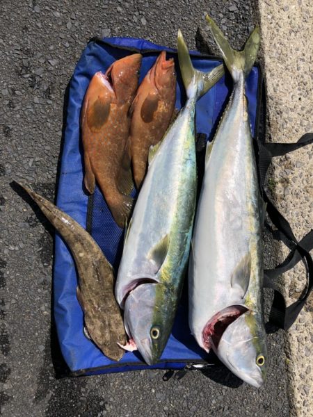 小型和船からのSLJ！鷹島南側日比水道最新…