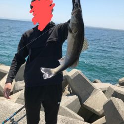 大物シーバス65cm２匹