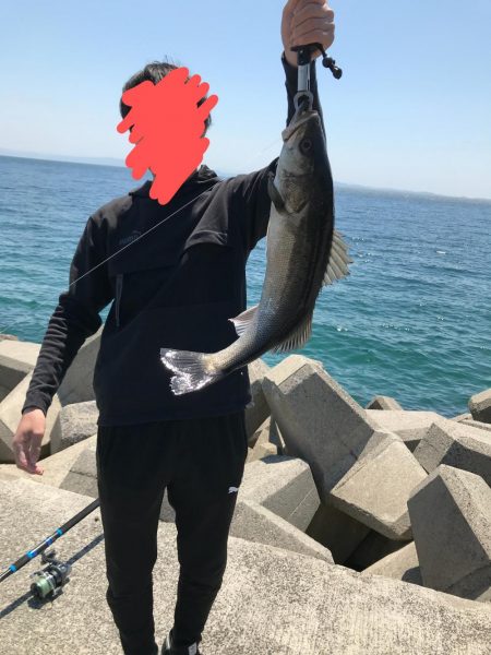 大物シーバス65cm２匹