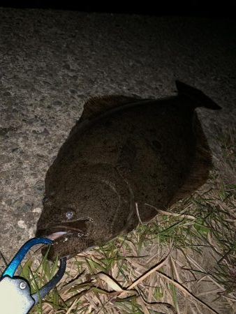 津居山港周辺へ