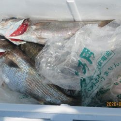 黒ムツ、ヤリイカ　釣れました(^_-)-☆