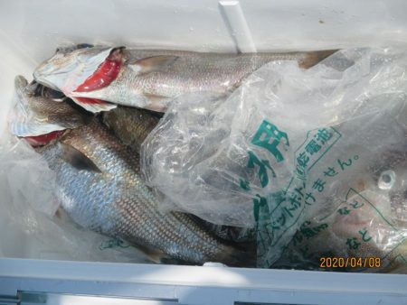 黒ムツ、ヤリイカ　釣れました(^_-)-☆…