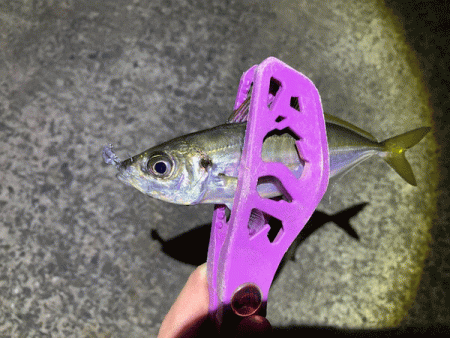 瀬戸内の島アジング(2020-3)