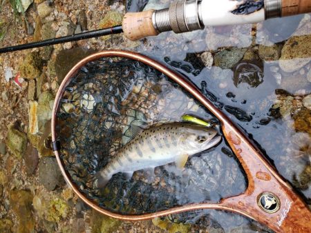 ヤマメちょいと！