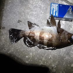 スーパームーンに釣行