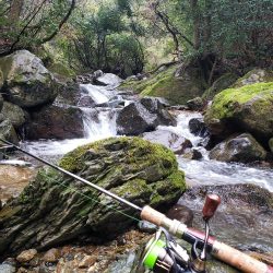 寒いなか頑張りました！