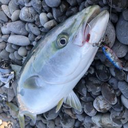 やっと釣れました