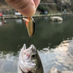 千早川マス釣り場でトップゲーム