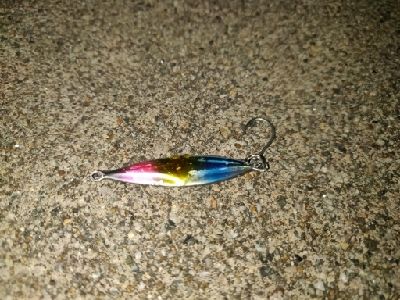 ちょっと良いヤリイカ