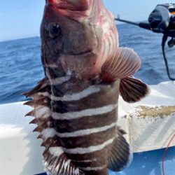 大原沖、マハタ