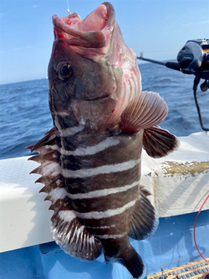 大原沖、マハタ