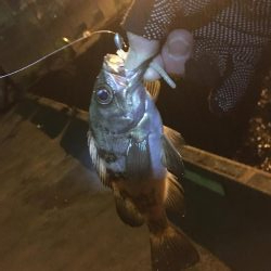 調子に乗って…