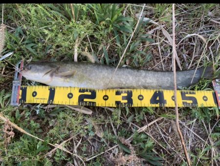 ヨレを見つけろ！