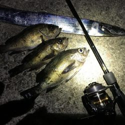 なぜ釣れない?…