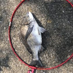 1週間ぶりの釣行でゲット