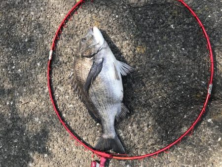 1週間ぶりの釣行でゲット