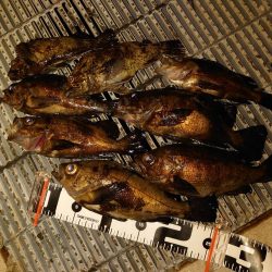 強風で厳しかったけど～