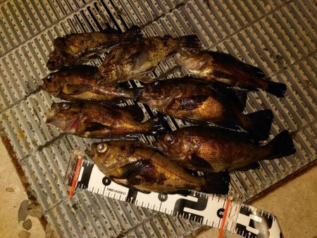 強風で厳しかったけど～