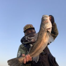 メバリング→シーバス→アジング