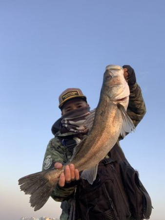 メバリング→シーバス→アジング