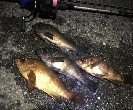 久しぶりの快勝！！