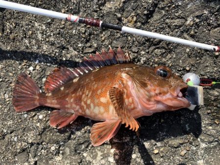 ガッシー狙い！