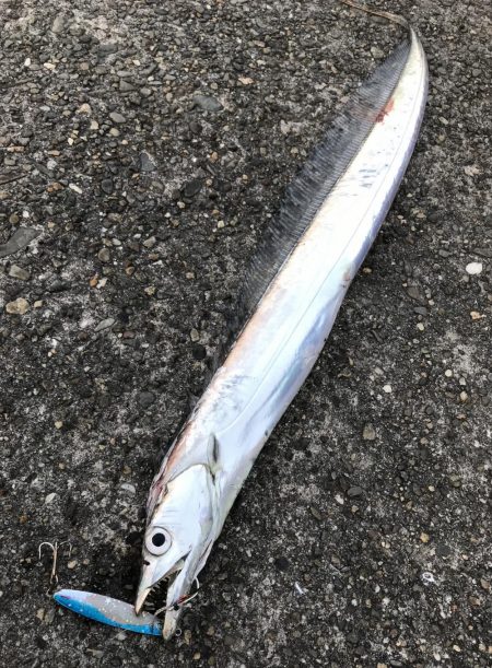 ゴミではなく…