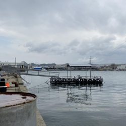 アジ　夕まずめ前